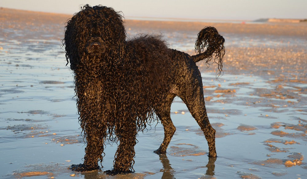 ISabella am Strand