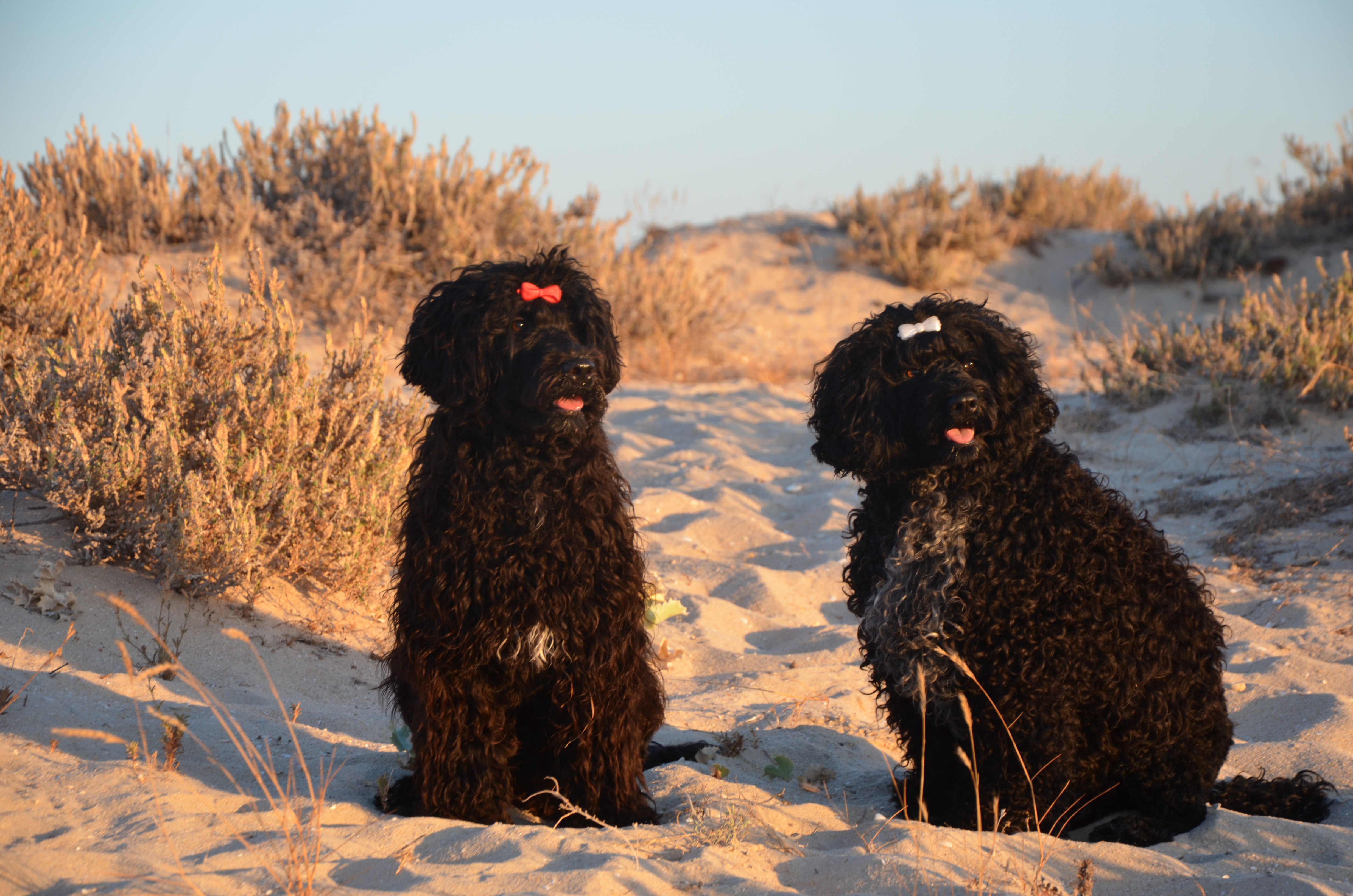 Isabella und Sofia am Strand