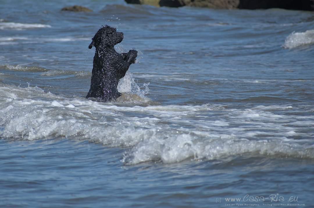 Sofia im Wasser