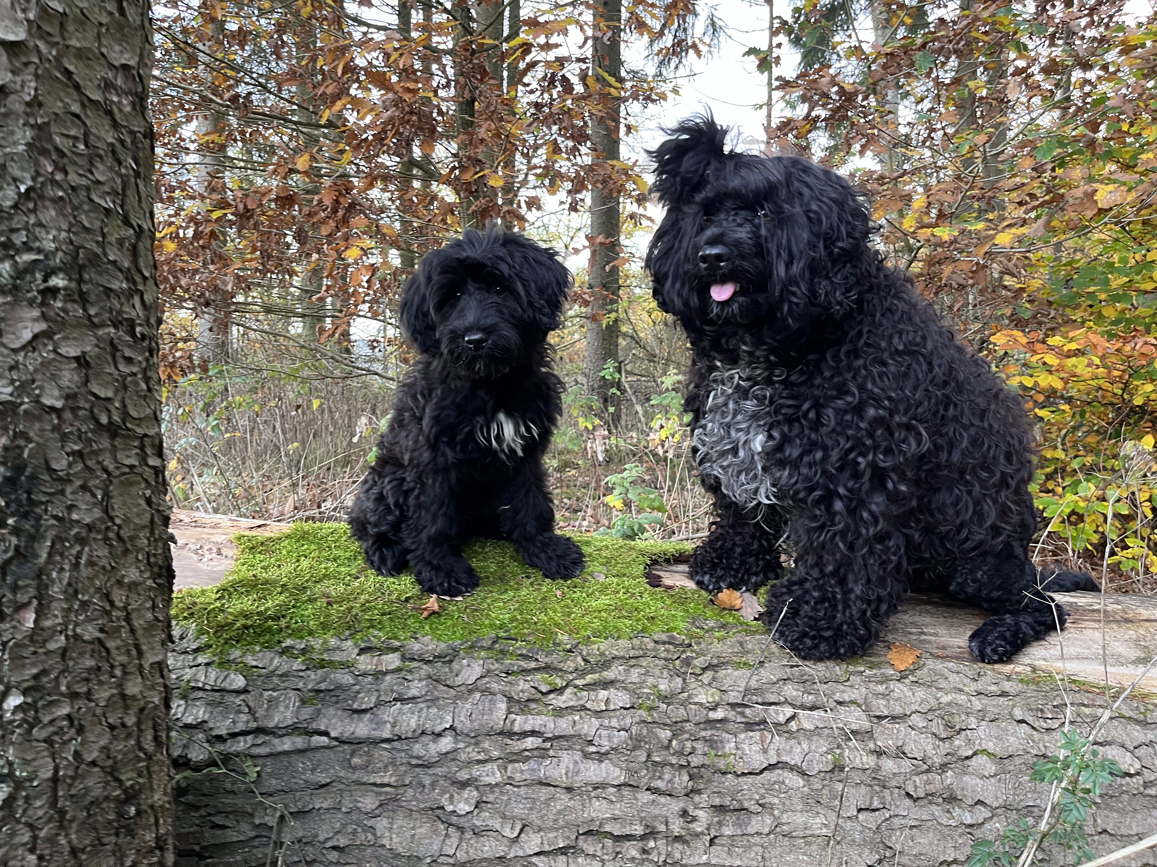 Isabella und Sofia